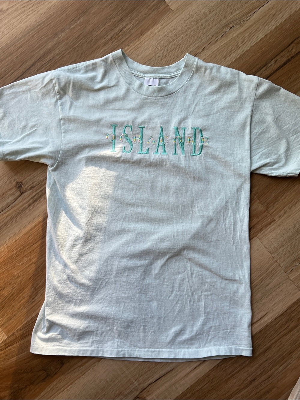 Anvil Light Mint 'ISLAND' Short-Sleeve Tee